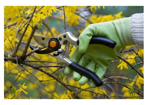 VRL Tree Services - 5/7