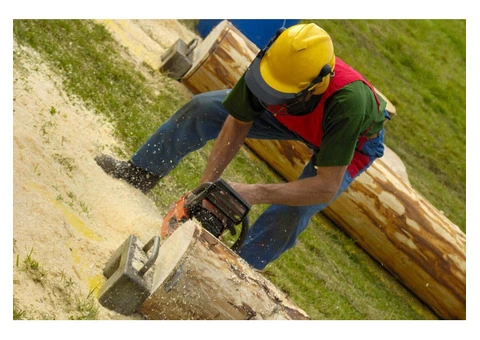 VRL Tree Services - 6/7