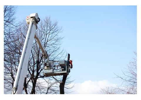 VRL Tree Services - 7/7