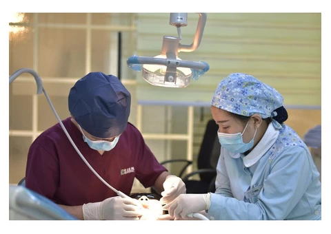 Dental Emergencies - Tooth Abscess Treatment Melbourne - 4/4