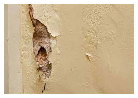 What is Damp Proofing? - 2/6