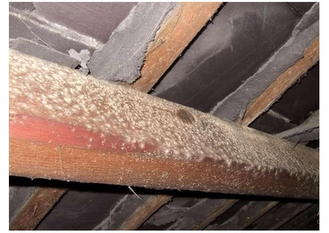 What is Damp Proofing? - 4/6