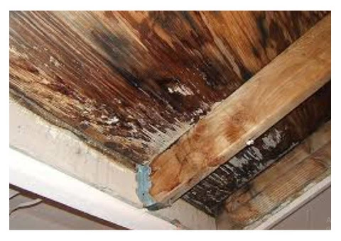What is Damp Proofing? - 5/6