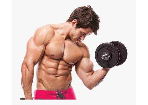 Best Myotherapy North Melbourne - Myofitness Myotherapy - 4/4