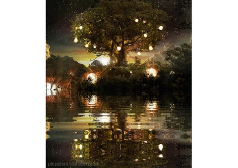 Best Clinical Hypnotherapy in Central Coast - 2/6