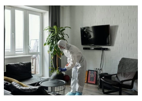 House Cleaning Brighton