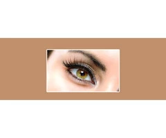 Lash Lift & Tinting - Indulgence