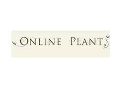 Online Plants Melbourne