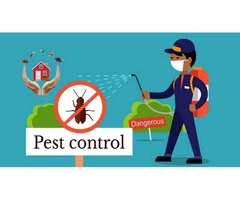 5 Star Service - Reliable and Trusted Pest Control Company