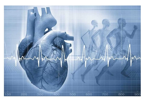 Northwest Cardiology - SCCVS - 1/3
