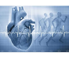 Northwest Cardiology - SCCVS