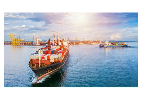 Are You Looking For Reliable Sea Freight Shipping Services?