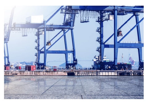 Are You Looking For Reliable Sea Freight Shipping Services? - 2/2