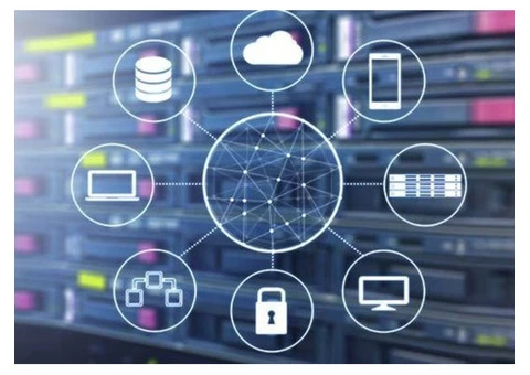 Turn to the Small Business IT Support Services - Intellect IT