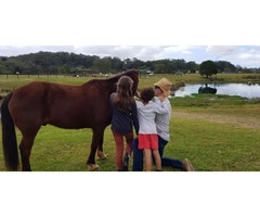 Equine Assisted Learning Near Me