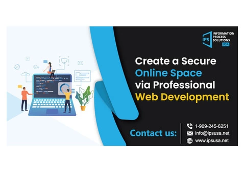 Online Space via Professional Web Development