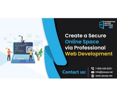 Online Space via Professional Web Development