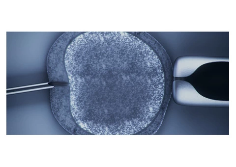 Acupuncture Fertility Melbourne | Balance Complementary Medicine