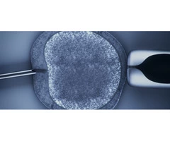 Acupuncture Fertility Melbourne | Balance Complementary Medicine