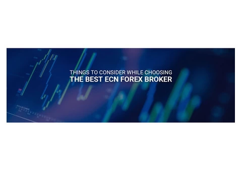 Things to Consider While Choosing the Best ECN Forex Broker
