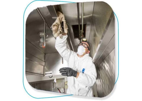 Canopy Cleaners Melbourne - 2/7