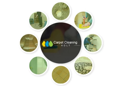 Carpet Cleaning Holt