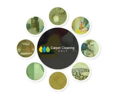 Carpet Cleaning Holt