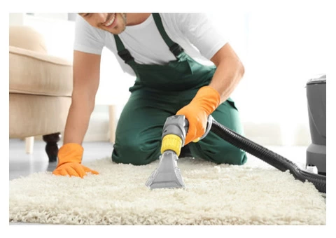 Get Best And Affordable Carpet Cleaning Services in Albert Park - 2/2