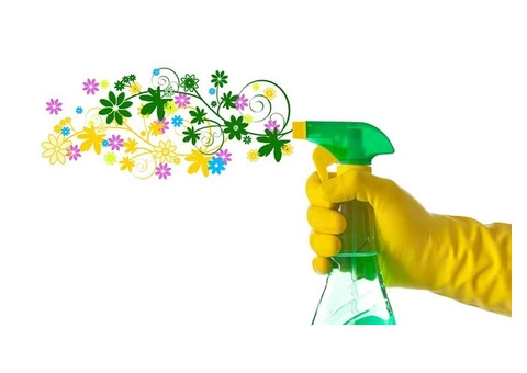 Spring Cleaning Services using Eco-Friendly Products