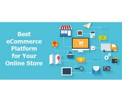 Hire a reputable e-commerce website developer for reliable services