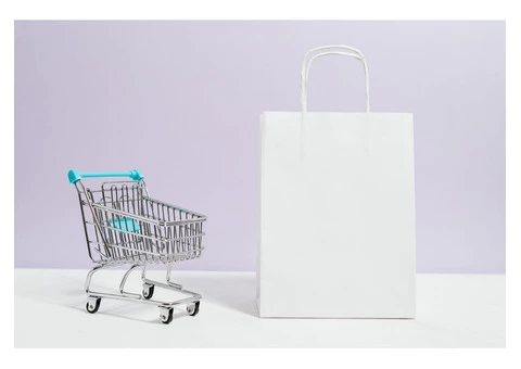 Robust Magento Development Solutions to Make Your Store Stand the Competition