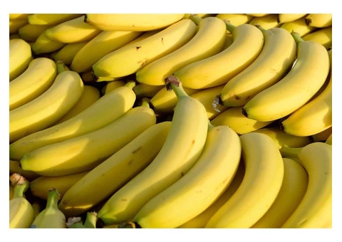 5% off - Jonesy Grocery Store Surfers Paradise, QLD - 4/4
