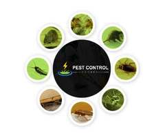 Pest Control Coombs