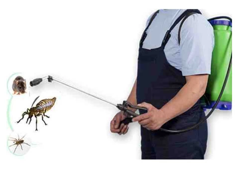 Best Pest Control Brisbane - 3/8
