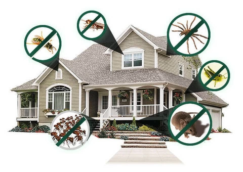 Best Pest Control Brisbane - 4/8