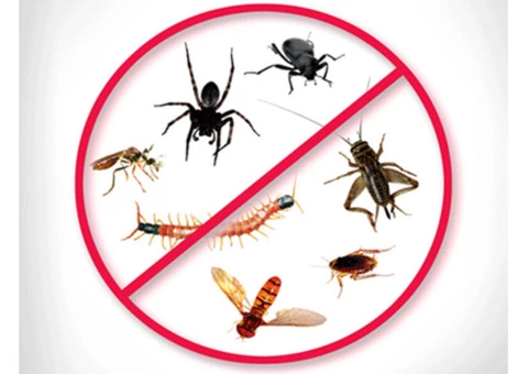 Best Pest Control Brisbane - 7/8