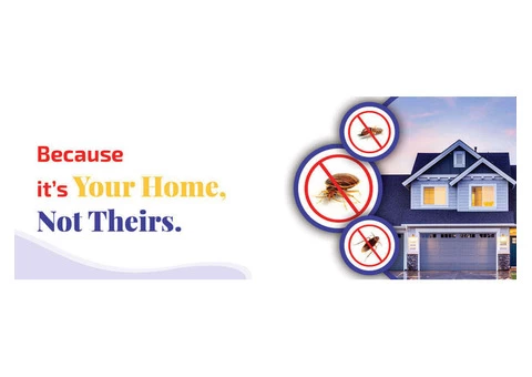 Best Pest Control Brisbane - 8/8