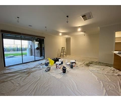 Fastest residential painting in Mills Park