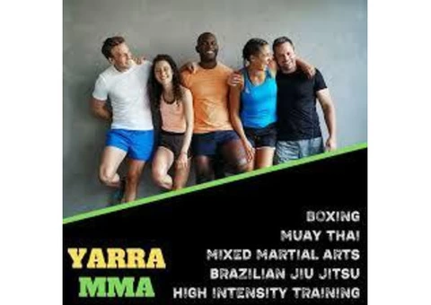 Partner Boxing Workouts Online