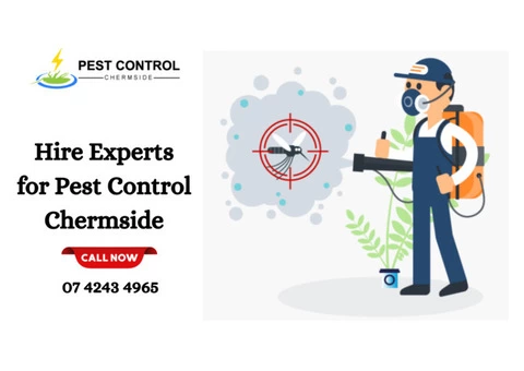 Hire Experts for Pest Control Service in Chermside