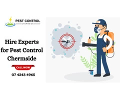 Hire Experts for Pest Control Service in Chermside