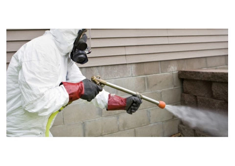 Termite Inspection Redland - 1/4