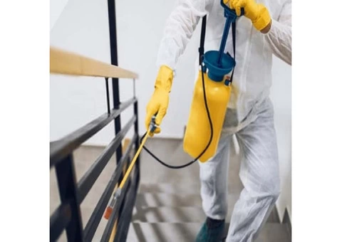 Pest Control Kangaroo Point