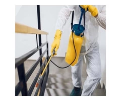 Pest Control Kangaroo Point