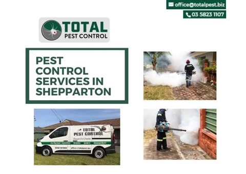 Top 3 Types Of Termite Treatment Shepparton – A Total Pest Management Guide on Termites - 3/7