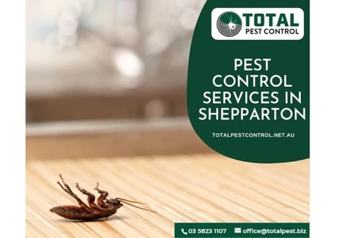 Top 3 Types Of Termite Treatment Shepparton – A Total Pest Management Guide on Termites - 5/7