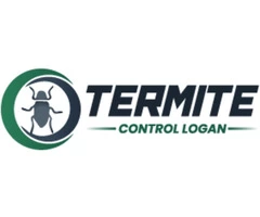 Termite Inspection Logan