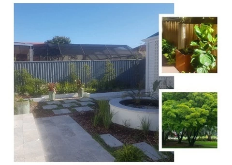 Commercial Landscaping, Garden Design Services Perth - 2/7