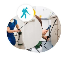 Pest Control Sunshine Coast