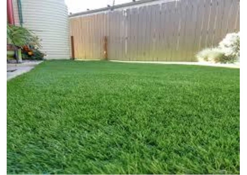 Best Synthetic Turf in Canberra